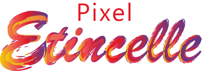 Partenaire de Morphosa - Webmaster